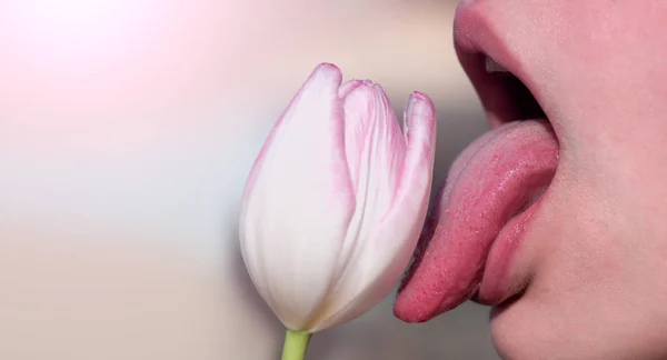 Blowjob kiss, sensual tongue licks a tulip flower. Sexy female mouth and spring flower on gentle pink background. Oral sex, masturbation, licking the vagina or labia — Stockfoto