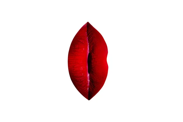 女性の膣や陰唇セクシーなコンセプトのメイクアップの唇から。官能的な女性の器官に関連する赤い口紅唇を垂直。贅沢な女性のための美容化粧品。産婦人科、婦人科 — ストック写真