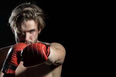 Profesyonel boksör siyah arka planda izole fighthing vardır. Portre Studio eldiven poz boksör. Savaşmaya hazır boksörü. Boksör boks eldiveni güçlü elleriyle