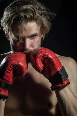 Güçlü boksör siyah bir arka plan. Boks eldivenleri kaslı adam. Portre Studio eldiven poz boksör. Savaşmaya hazır boksörü. Boksör ile güçlü eller