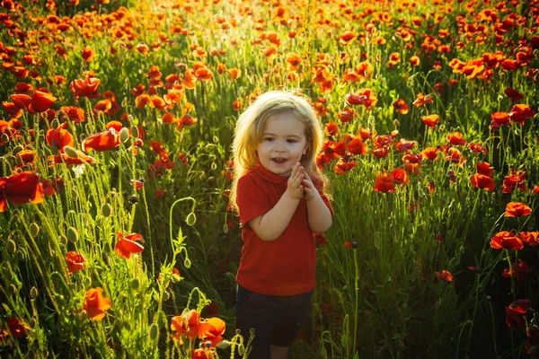 Child in field with poppies. Cute boy with long hair walks in field, enjoys flowers and life. Beautiful child in red T-shirt in nature summer, vacation, happy childhood, joy. Toddler or baby — Stock Photo, Image
