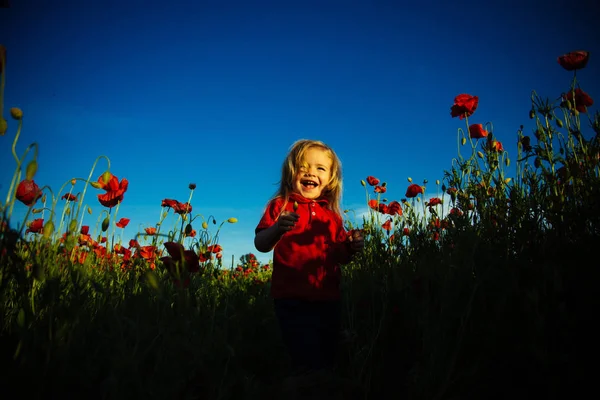 Smile happy baby child. Toddler boy joy in red t-shirt among the field of red poppies. Blue sky and green field background, beautiful nature for children. Happy childhood — Stock Photo, Image