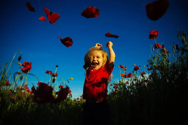 Glückliches Kind spielt mit Blumen im Mohnfeld bei Sonnenuntergang, Spaziergang an der frischen Luft, Sommerurlaub im Dorf. ländliche Ruhe. Glück und Freude, fröhliches Kinderlächeln, lächelnder Junge lacht. Lustiges fröhliches Kind lächelt — Stockfoto