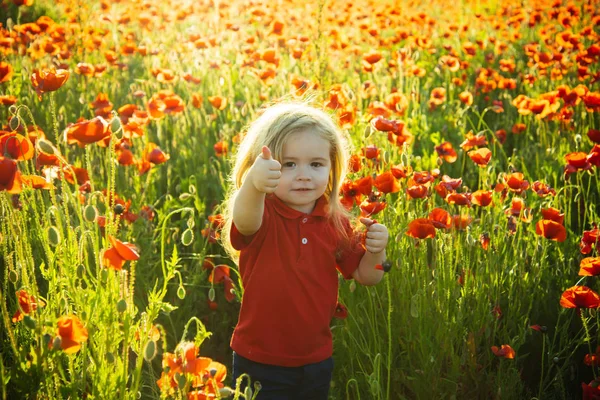 子をゴツン。幸せな子供は、少年はケシ畑に散歩に幸せを親指を示しています。子供の喜びと幸福。緑の芝生と子供の散歩に背景として赤い花 — ストック写真