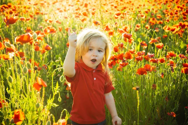 Child screams, finger showing, boy swears on walk. Baby boy is crying in nature, on green field with red poppies. Index finger up, head and education of children and parents. Give instructions boss — Stock Photo, Image