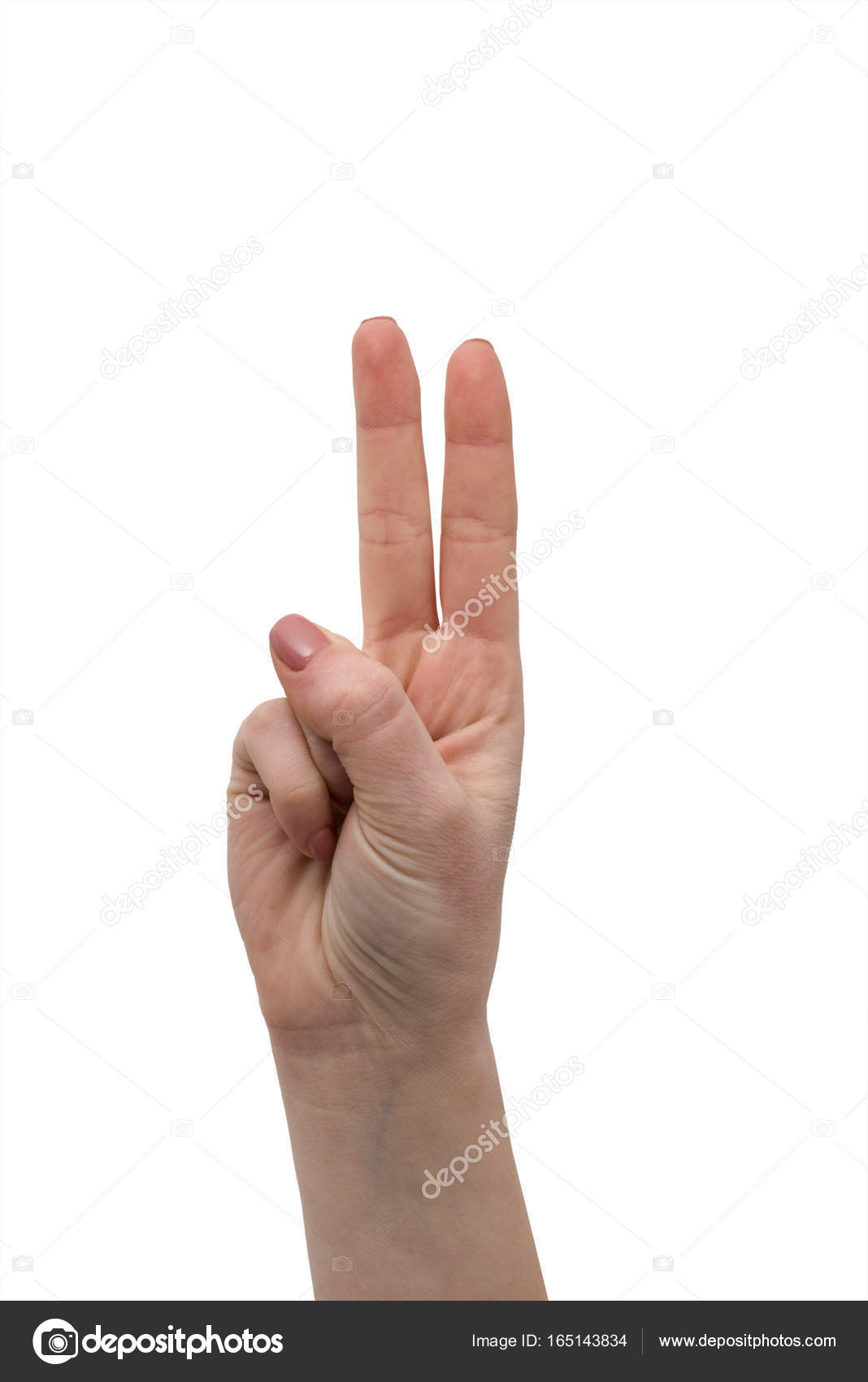 Frieden, zwei Finger nach oben, Hand in Frieden oder Siegessymbol. Zeichen  für den Buchstaben v in, image size:1068x1700