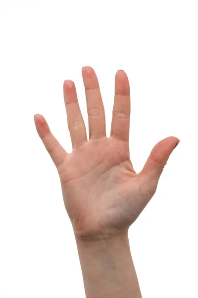 Femme main paume isolée sur fond blanc. Symbole de la main : cinq. La main humaine montre cinq doigts. Main féminine faisant signe. Peau des mains ouvertes sur la manucure — Photo