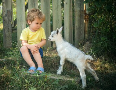 Sevimli küçük çocuk küçük keçi korkuyor. Bahçe, ev ve ev ürünleri, sağlıklı gıda, süt arkadaş grubu arasında. İletişim ve dostluk. Utangaç çocuk. Çocukluk doğa doğal ekoloji