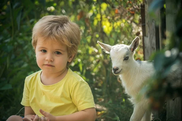 Friendship, pet, family farm. Cute boy and goat on nature background nature, garden and household. Animal in zoo or at home. Sad look of the child and true friend together. Childhood, milk in village