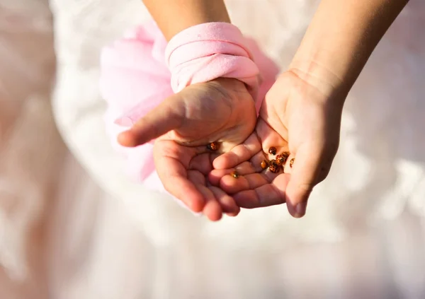 Joaninha em mãos de menina, menina segurando insetos vermelhos nas mãos. Conceito de natureza e ternura. Vestido rosa e acessórios para a pequena princesa. Proteção ambiental e ecologia, insetos besouro — Fotografia de Stock