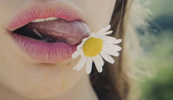 Sexy tongue with flower. Chamomile in mouth of young woman. Spring and summer concept. Close up pink lips and flower inside. Part of face with white flowers. Girl in garden or field. Vegan lifestyle