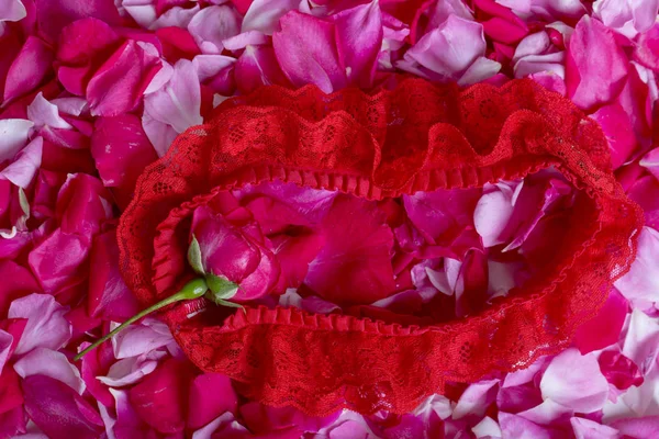 Rode Kousenband op roze achtergrond. Rozenblaadjes op de verdieping. Romantische avond met rode bloemblaadjes. Passie voor geliefde persoon aanwezig. Sexy Kousenband op bloemblaadjes van rozen. Verleidelijke ondergoed, lingerie lady — Stockfoto