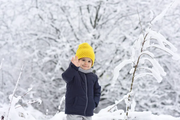 Cheerful boy waving his hand to camera, hello hi concept. Cute little funny child in colorful winter clothes having fun with snow outdoors. Active outdoors leisure with children in winter — Stock Photo, Image