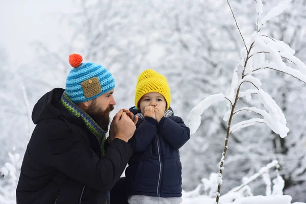 Зимний холод для рук. Молодой парень исследует снег в лесу с отцом. Зимняя прогулка с семьей. Ледяная погода в горах. Игра со снежками снаружи. Снег в лесу на деревьях. Крем против мороза — стоковое фото