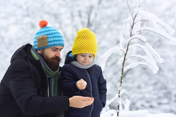 Γιος και πατέρας παίζουν με μικρή χιονιά. Οικογένειά του χρόνου στο δάσος του χειμώνα. Γενειοφόρος fater και χαριτωμένο παιδί να εξερευνήσουν φύση έξω. Ο πατέρας διδάσκει ο μικρός γιος χειμερινούς Ολυμπιακούς Αγώνες. Νιφάδα χιονιού που λιώνει στο μικρό χέρι — Φωτογραφία Αρχείου