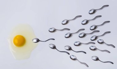 Kavram gübreleme. Sperm ve yumurta sembolleri, yumurta ve kaşık. Kaşık olarak erkek sperm dişi yumurta yumurta sarısı için gidin. Erkek ve kadın, gelecekteki yaşam, hayat doğumu. Güzel Biyoloji ve anatomi