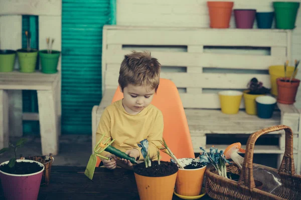 Gartengeräte. Garten und Frühling, heimische Pflanzen, Schönheit und Gemütlichkeit zu Hause. Ökologie und Natur. Das süße Kind arbeitet zu Hause mit den Pflanzen. Bildung für die Zukunft und gesunde, saubere Umwelt — Stockfoto