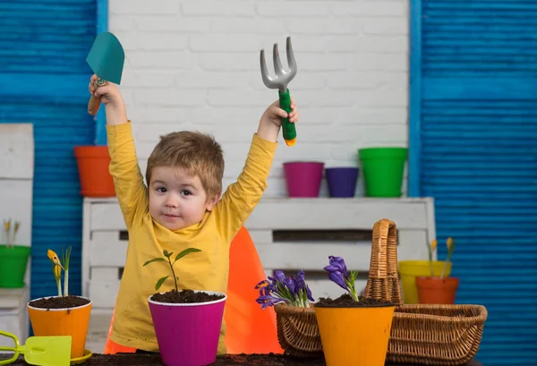 幸せな春。ガーデン ツールとハンサムなかわいい子幼児は、明るい家の中の植物を気遣います。幸せな子供時代、初期の開発、環境、趣味として自然 — ストック写真