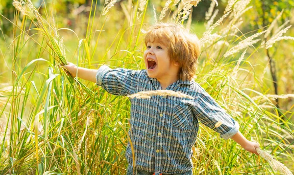 Ευτυχισμένο παιδί. Χαριτωμένο παιδί στο φόντο γρασίδι της φύσης. Χαρούμενη κραυγή, απόλαυση. Παιδικά συναισθήματα σε ένα όμορφο πρόσωπο. Ευτυχία. — Φωτογραφία Αρχείου