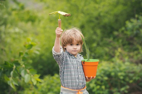 Niño con herramientas para trabajar en el jardín. Plantas para una dieta saludable. Granja orgánica. Niño sobre un fondo de jardín verde . — Foto de Stock