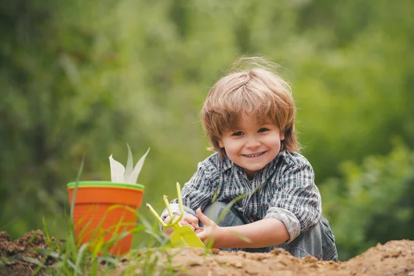 Feliz granjero. Plantas jóvenes en la granja. Cosecha. Agricultura ecológica saludable. Boy trabaja con tierra y plantas . — Foto de Stock