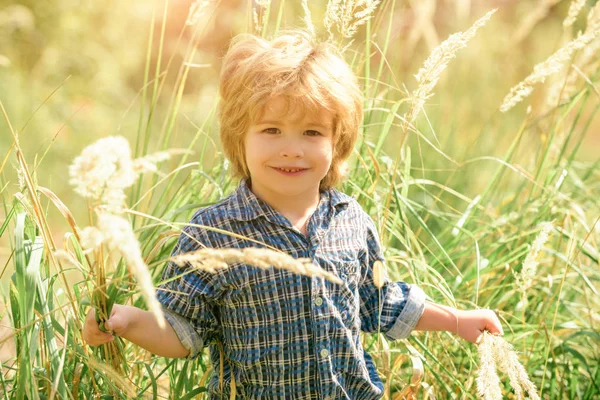 Chico en la naturaleza. Un niño en la hierba alta. Humor de primavera o verano. Día soleado. Feliz infancia. Camina. La vida . — Foto de Stock