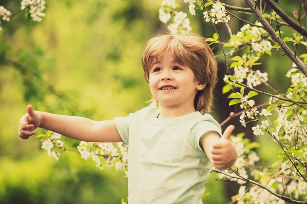 Niño feliz en un fondo de la naturaleza. Hermoso chico en el jardín de primavera . — Foto de Stock