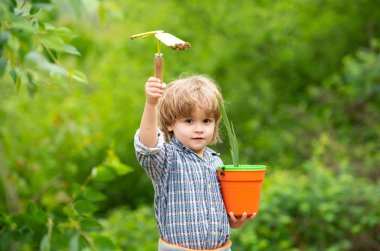 Bahçede bahar işi. Kürek ve tarla aletleri. Küçük çiftçi. Organik tarım.