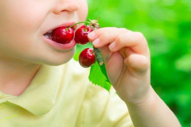 Çocuk kiraz yiyor. Yaz meyveleri. Çocuklar için vitaminler. Sağlıklı yemek..