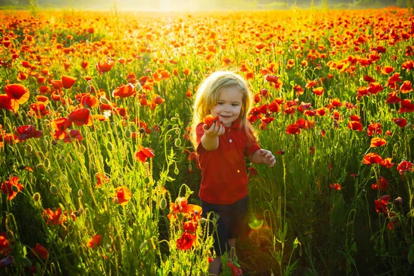 Beautiful baby child with red flowers. Little symbol of love. Family and happiness. Boy in the field. — Stock Photo, Image