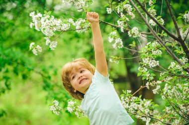 Yeşil doğadaki mutlu çocuk. Başarı. Gezegen ve insanlar için başarılı çevre projeleri.