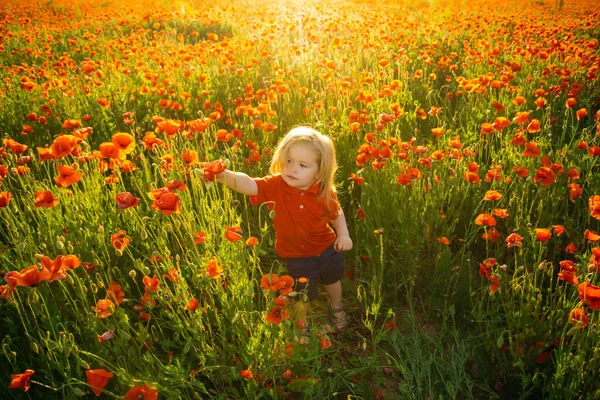 Spring flower mood. Happy kid in beautiful spring poppy field. Cute child. — 图库照片