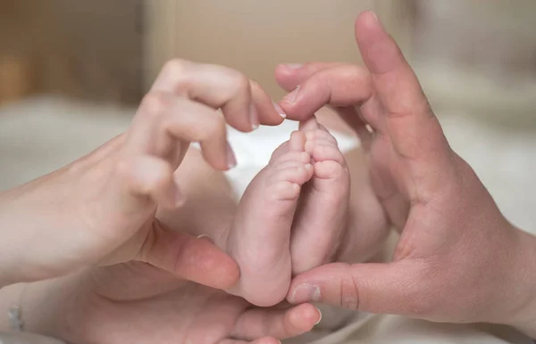 Pieds de bébés et mains parentales. Parents aidants et nouveau-nés . — Photo