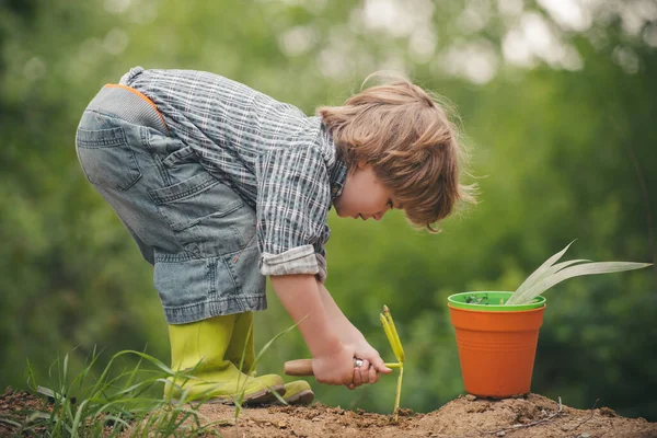 Gärtner. Biohof. Ein Kind spielt einen Bauern. Ein Junge auf dem Feld baut Gemüse an. Bio-Lebensmittel. — Stockfoto