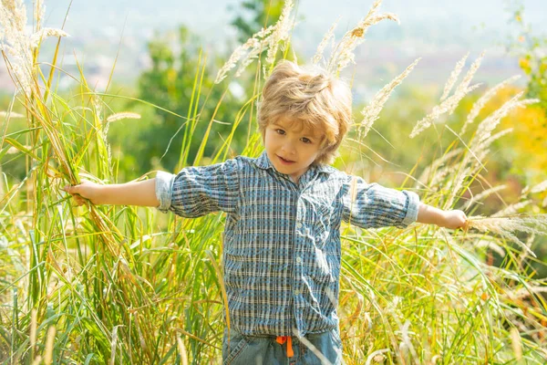 Naturaleza y niño. Un chico en el campo con hierba alta. Libertad y respiración libre. Feliz infancia. Verano sin alergias. Alergia al heno, polisnosis . — Foto de Stock