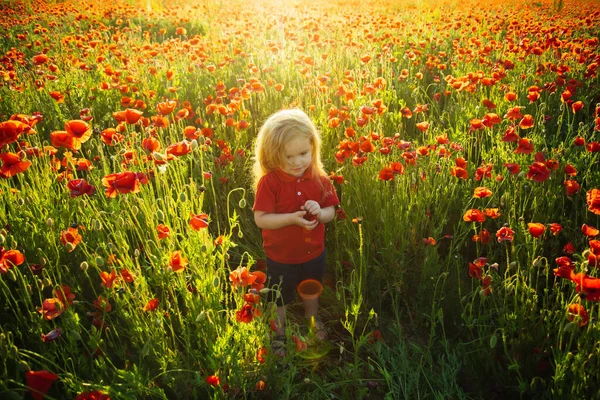 春の子。夏の気分。自然と子供たち。ポピー畑の背景. — ストック写真