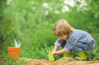 Bahar işi. Çiftçilik. Bahçedeki çocuk. Ev çiftliği. Bahçeye sebze ekme zamanı..