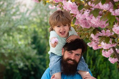 Sakura zamanı. Bahar. Babanla yürü. Baba zamanı. Oğlumla mutlu bir gün. Çocukların ruh hali.