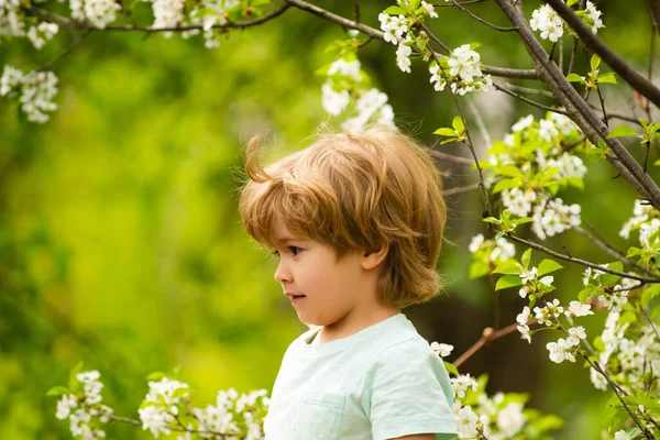 Un niño sobre un fondo de árboles florecientes. Un niño en el jardín. Naturaleza, primavera, parque verde. Salud infantil . — Foto de Stock