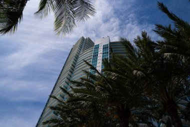 Yüksek gökdelen ve ağaç. Miami Beach 'te apartmanlarda yaşıyor. Çok güzel bir bina. Miami Emlak Florida ABD. Yaz.