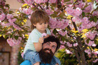 Oğlu ve babası bahçede. Çiçekli güzel bir aile fotoğrafı. Aile zamanı..
