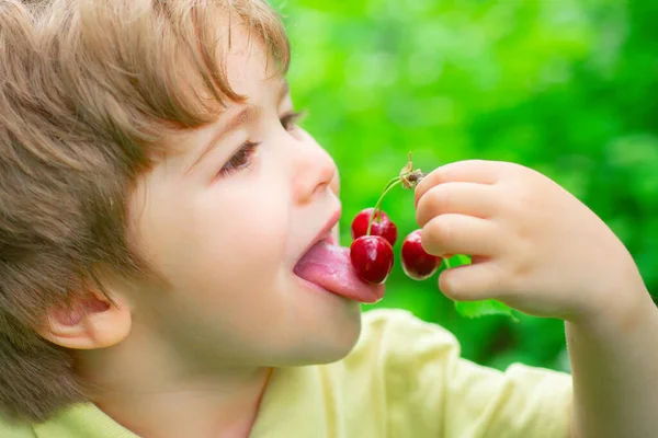 The child eats cherries. Fresh fruit from the garden for children. — Stock Photo, Image