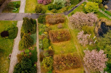 Yeşil bir parkta yollar kesişiyor.