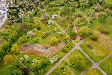 Yeşil bir parkta yollar kesişiyor.
