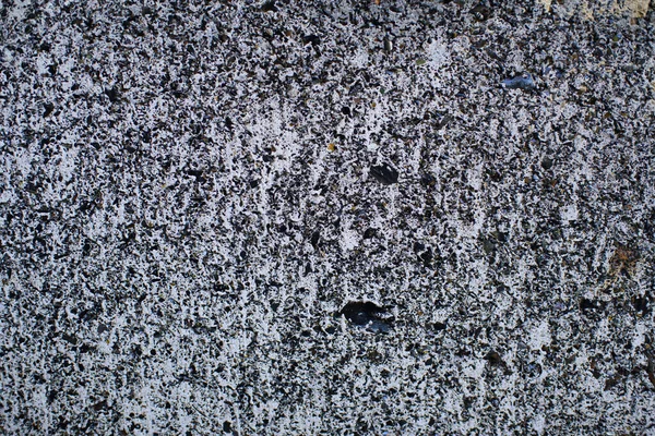 Detail of a gray wall close up. Cinderblock garage, detailing the outside of the garage wall
