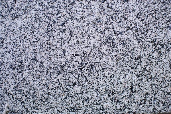 Detail of a gray wall close up. Cinderblock garage, detailing the outside of the garage wall