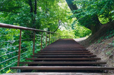 Parktaki merdiven aydınlık alana gidiyor..