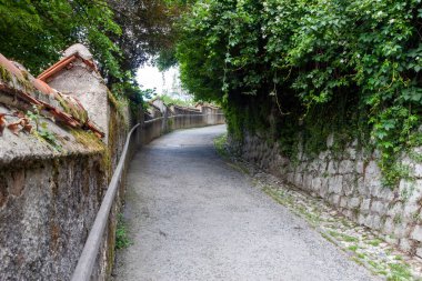 Tepenin zirvesine çıkan dolambaçlı yol.