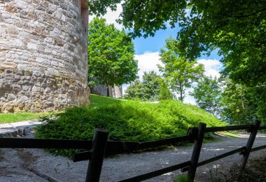 Tepedeki meşe ağacının altında bir patika. 