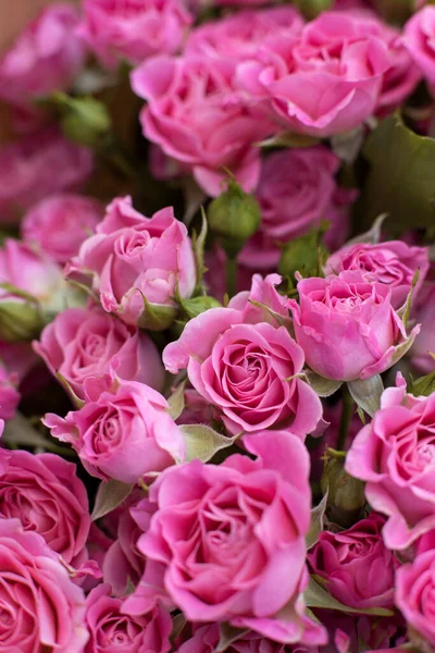Букет Розовых Роз Закрывается Цветочные Обои — стоковое фото
